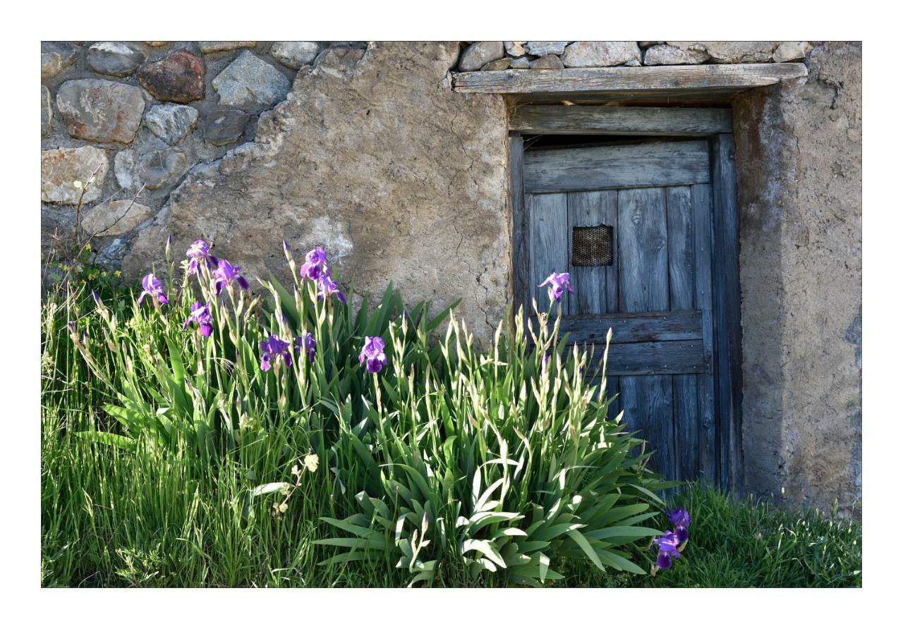 La Maison Abeil LʼArgentière-la-Bessée Bagian luar foto